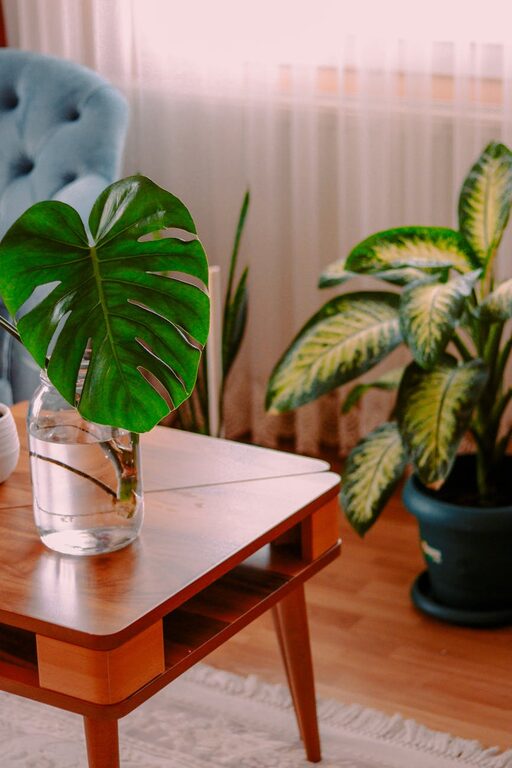The Benefits of Incorporating Indoor Plants into Your Home Decor